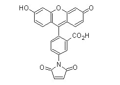 ɹ-5-R