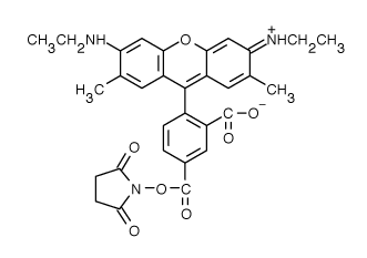 TAMRA|5-_6G 